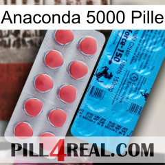 Anaconda 5000 Pill new14